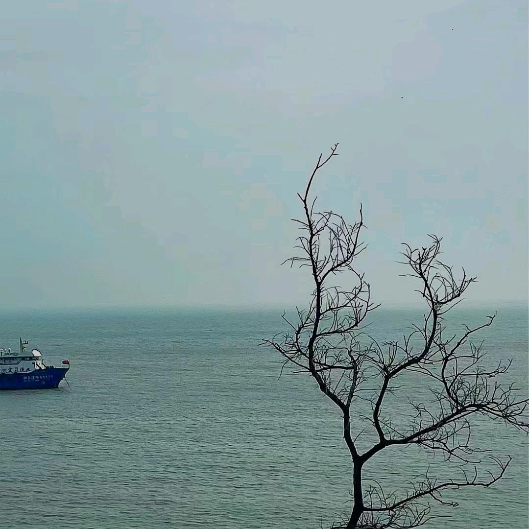 乐观的人(◞‸◟ )