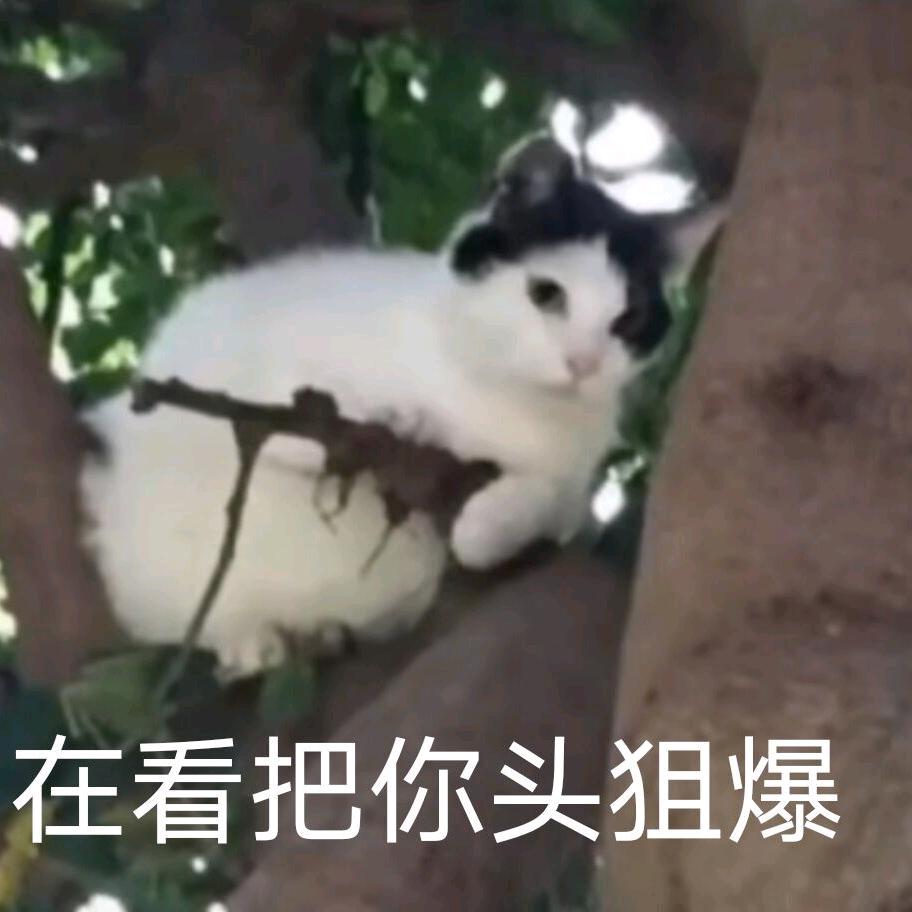su.