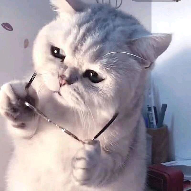 王者荣耀 堪堪180（大运流诸葛）