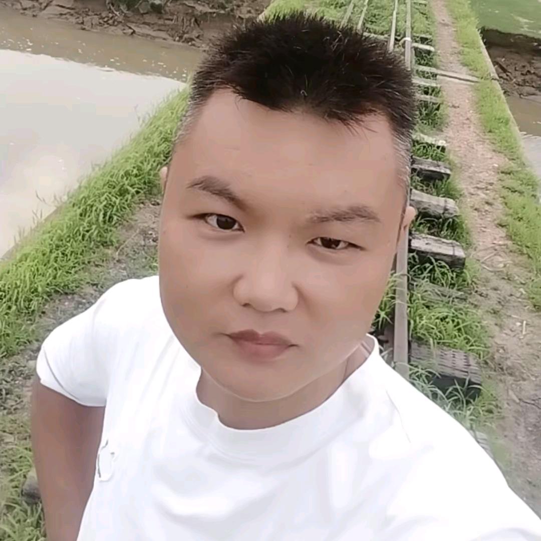 开封 小趴菜   水果批发