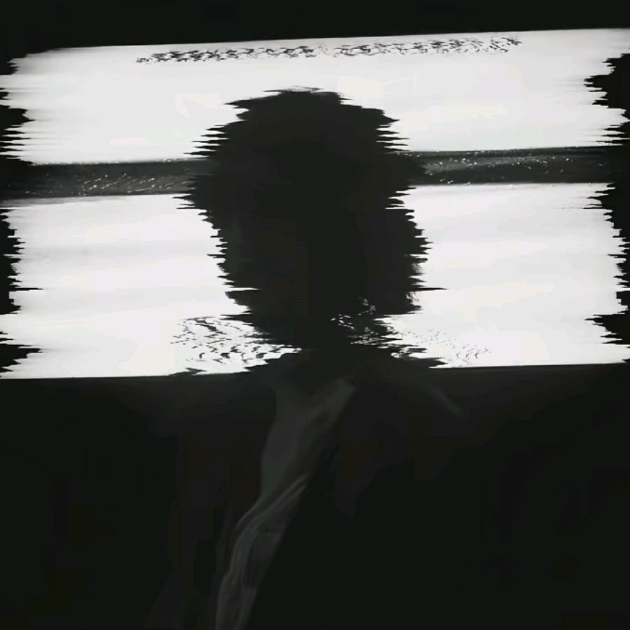 辞笺鹤