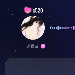 小夏城.