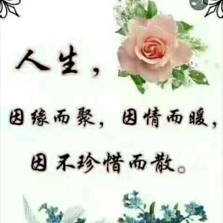 芒果用户177144655