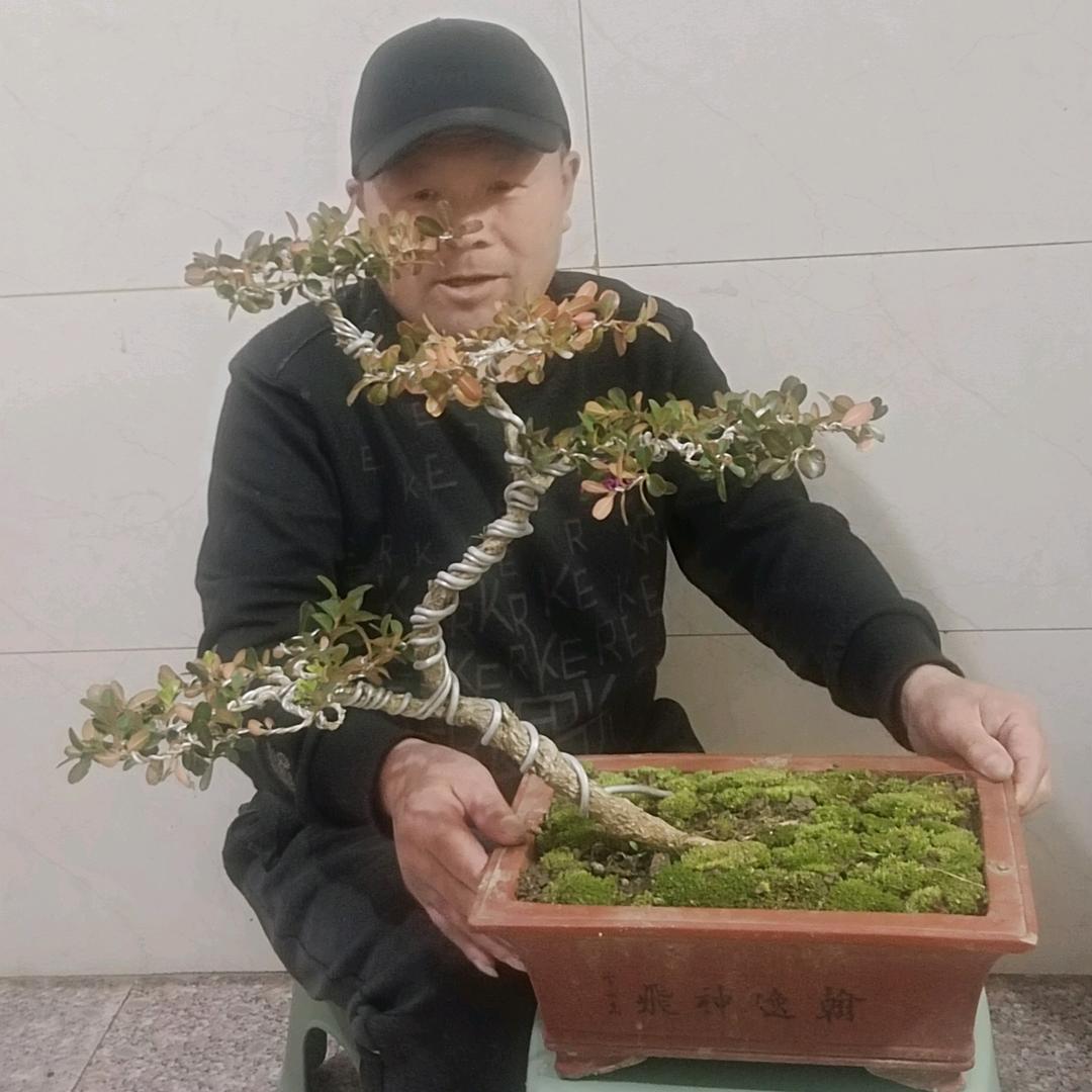 华艺园艺