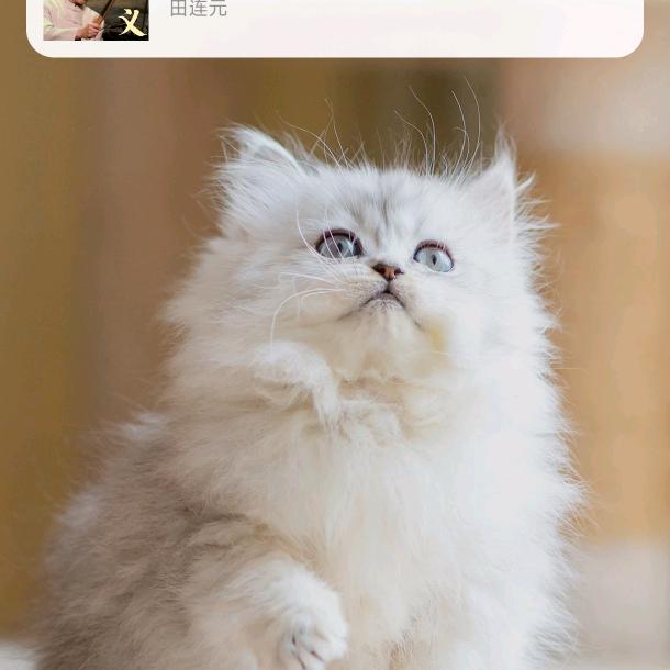 滨海大爷