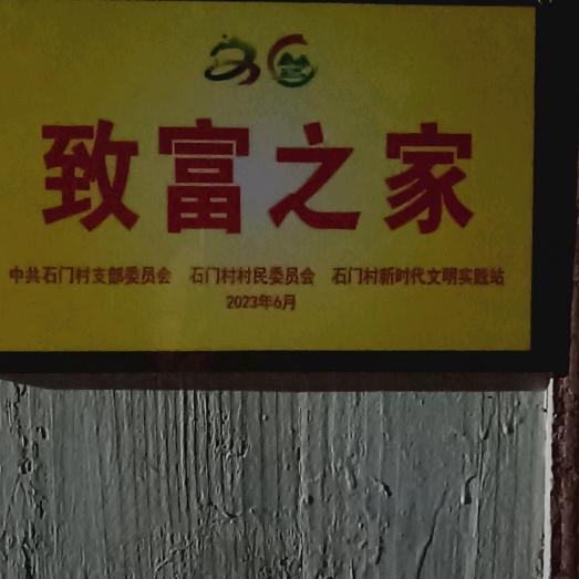 易晓利单身兔子