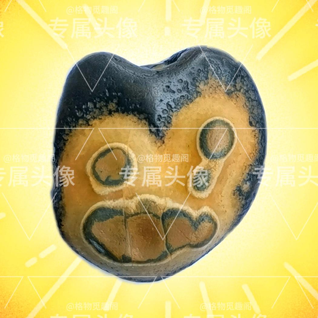 格物觅趣阁