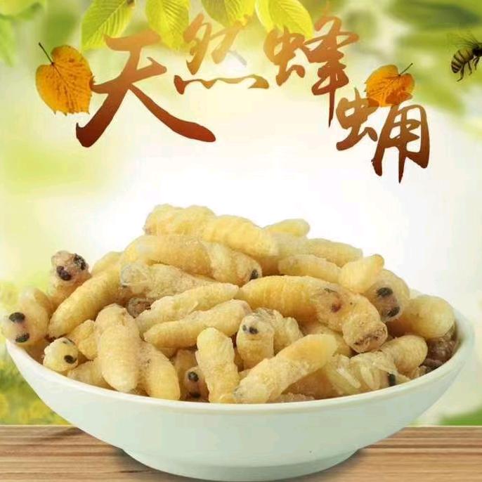 雪山户外♥草根玩家