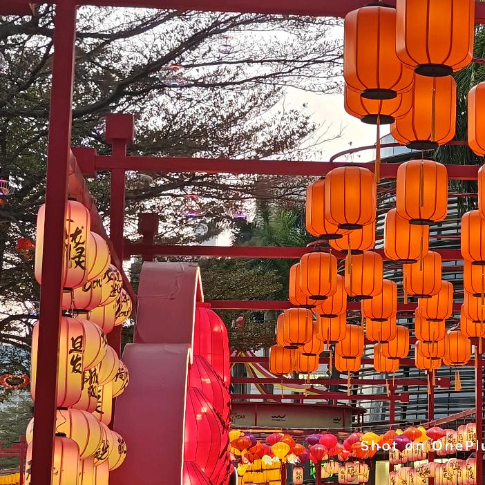 垃圾佬的日常