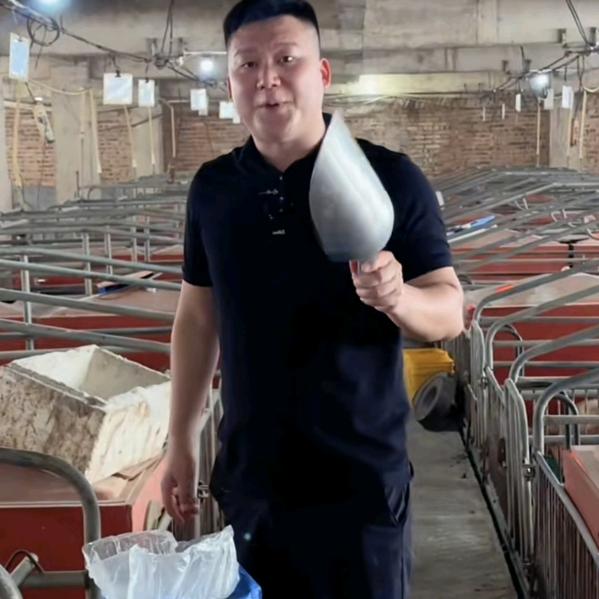 楼房自动化养猪