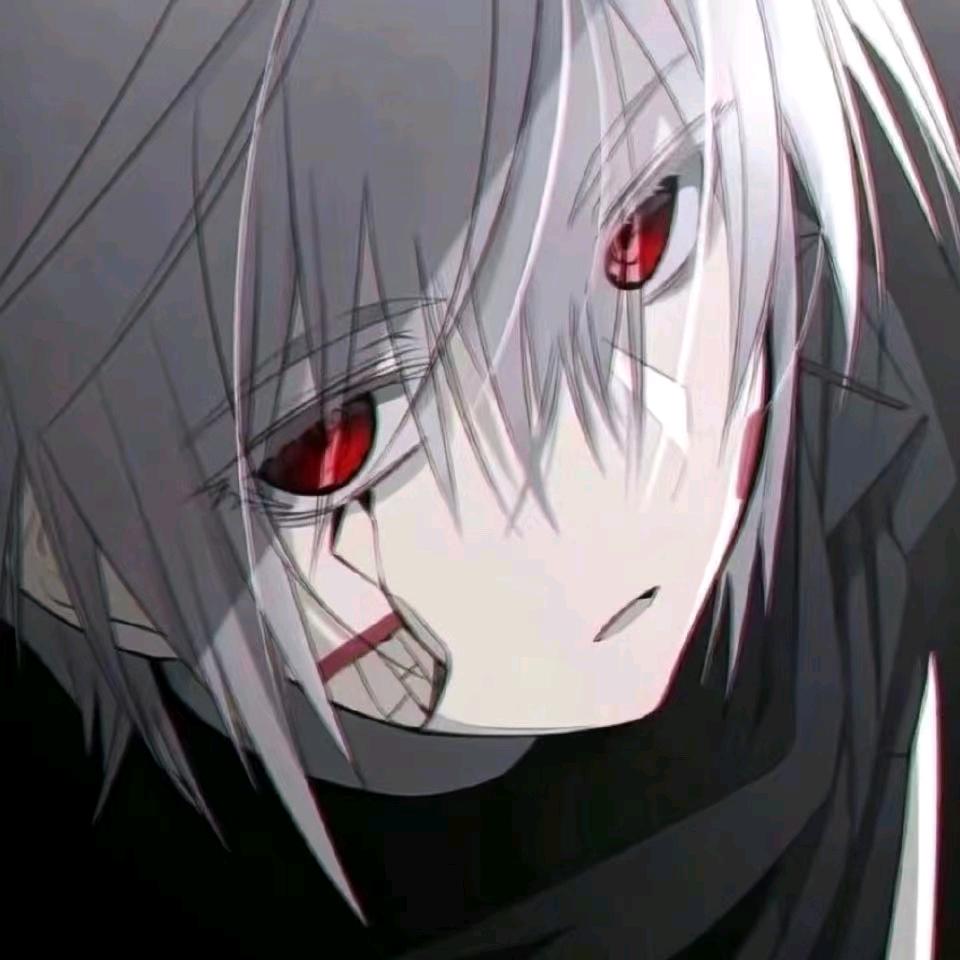 WHY（国标佐伊）