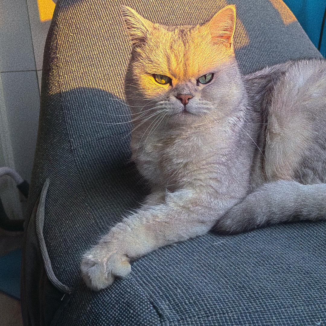 zzzhu
