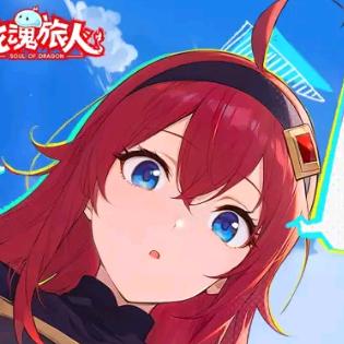 龙魂旅人丶小月