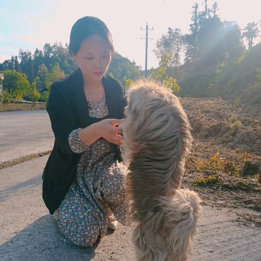 紫小花