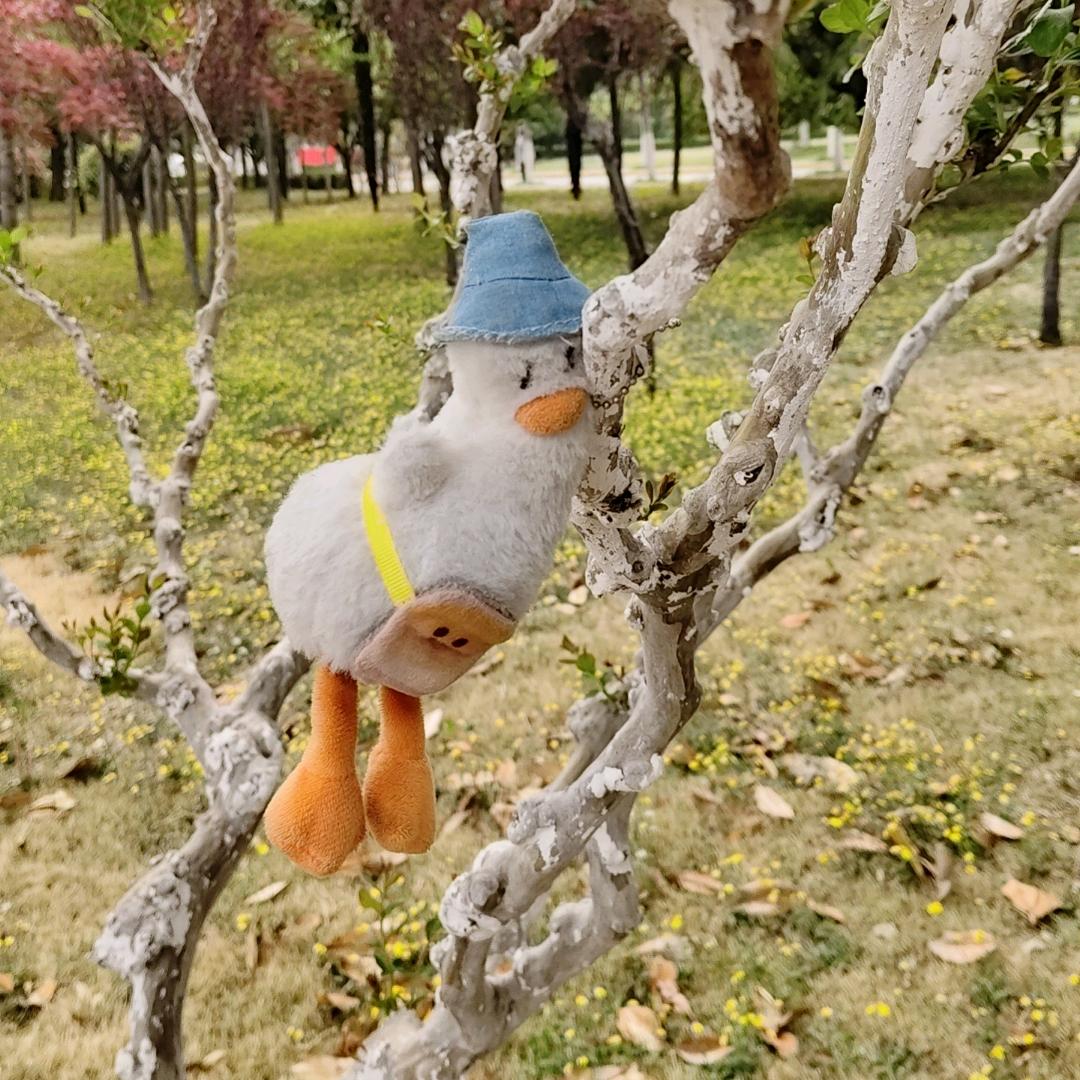 风紧扯呼