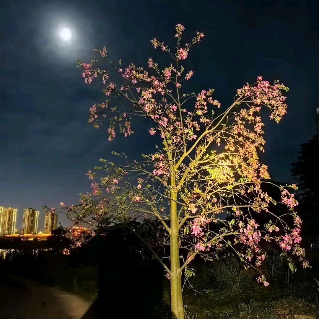 皆有可能