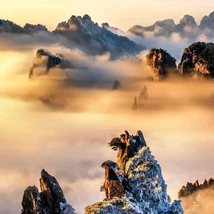 大洋歌