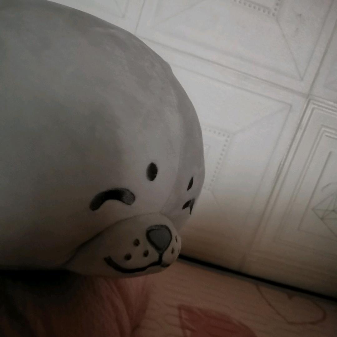 菜当家