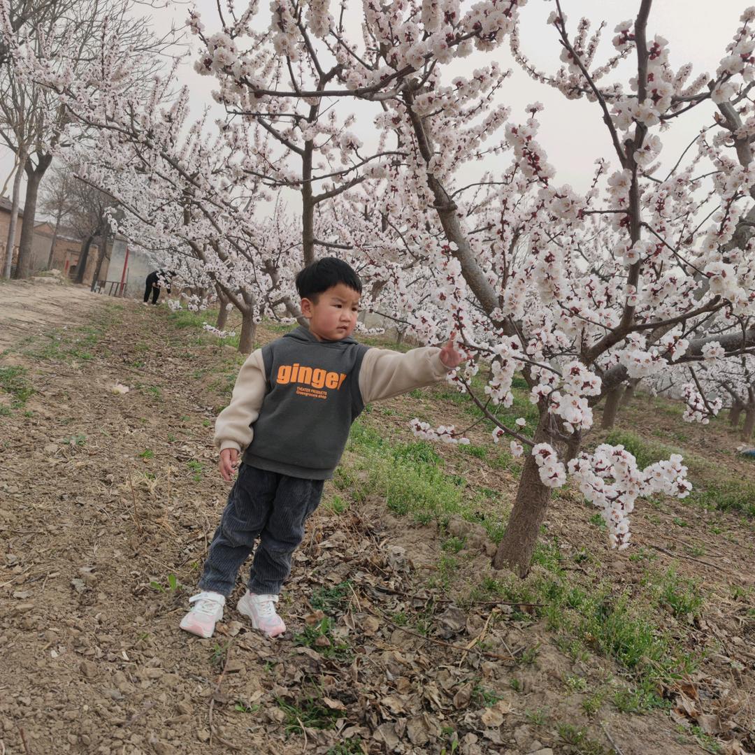 小马养殖场