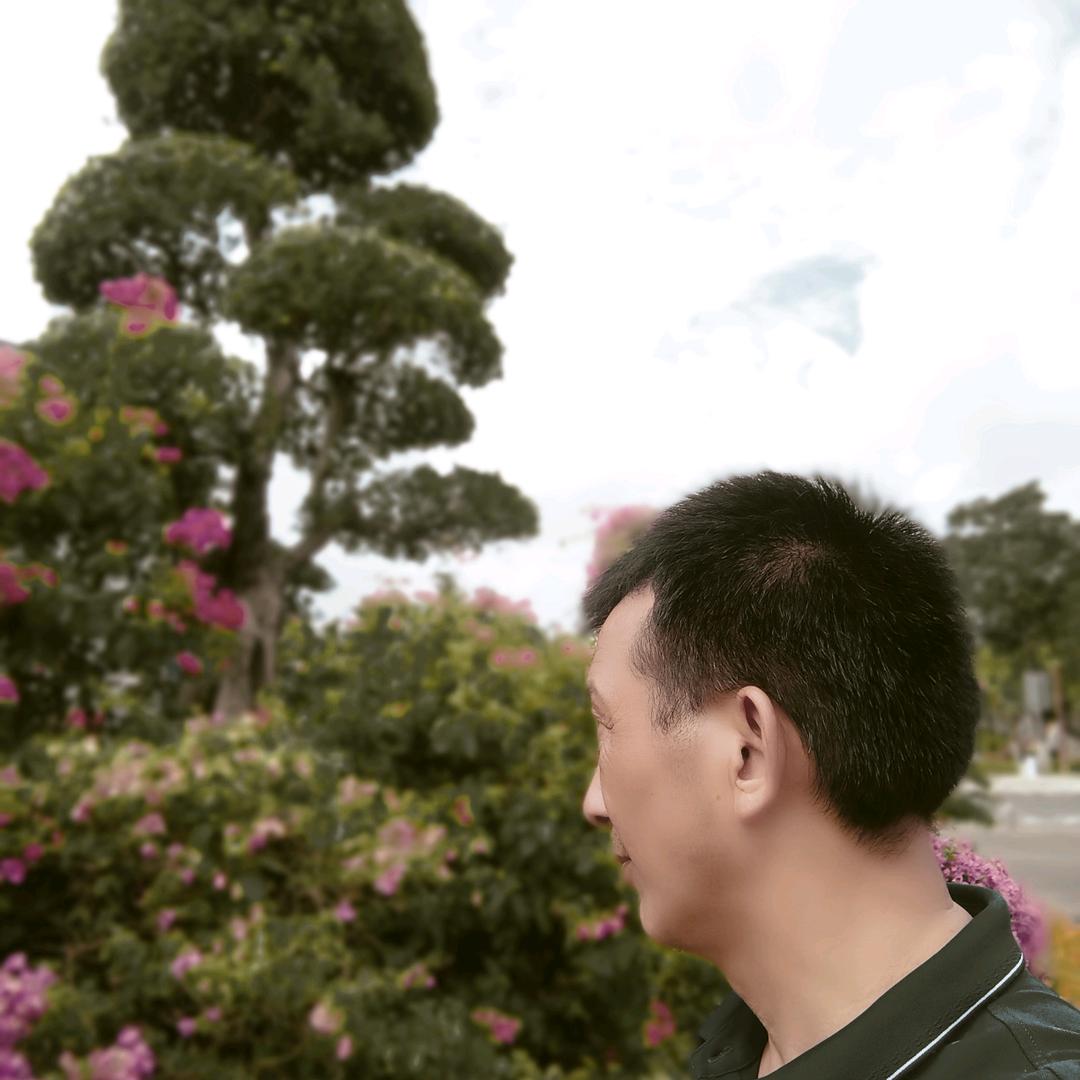 桃源县星德山水果种植园