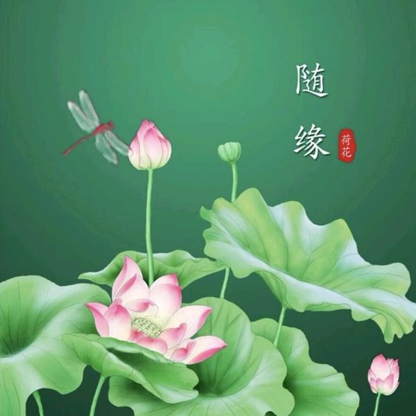 金生水起💰💰💰