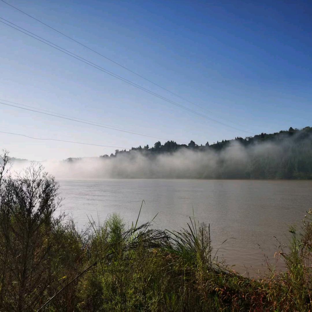 雨卉园林绿化（华山论剑）