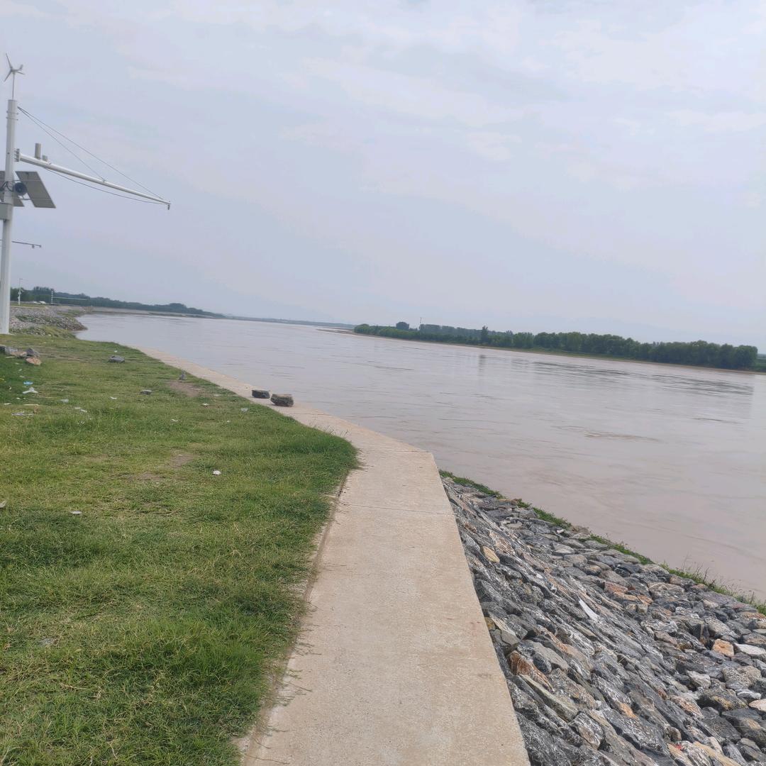 向阳而生      逐光而行