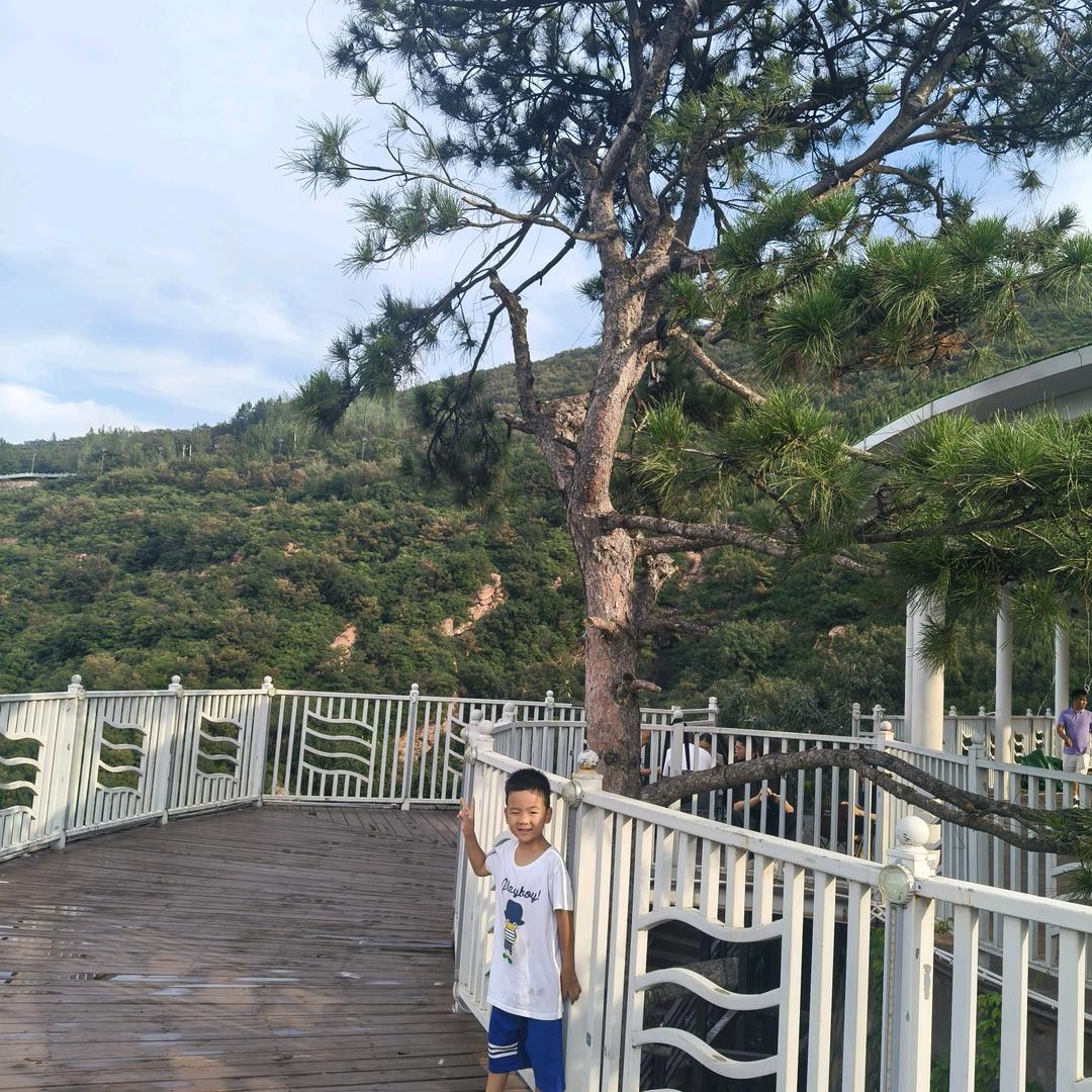 振振麻麻