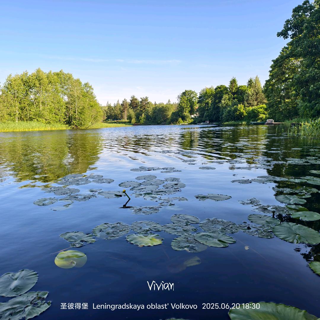 Vivian彭彭