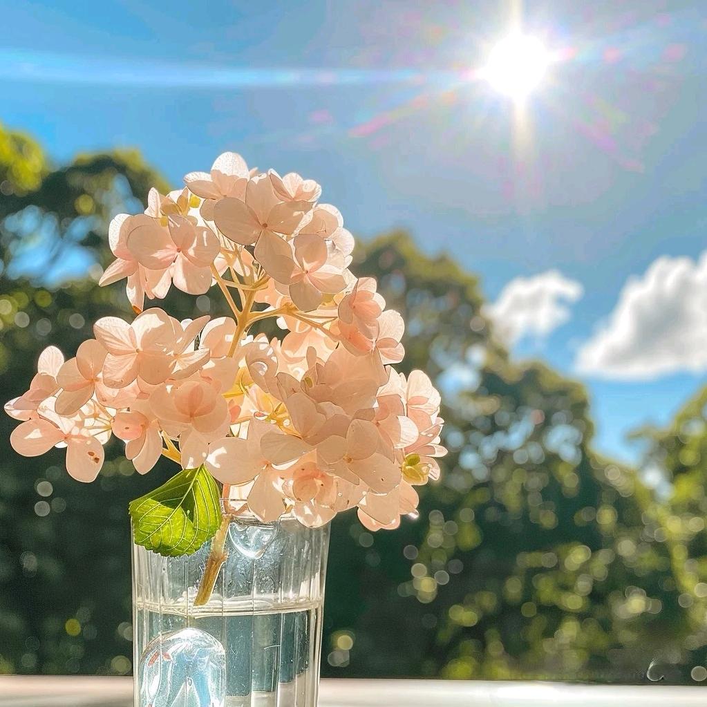 芊宁