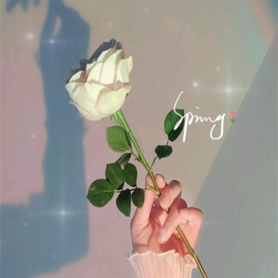 陈皮话梅糖💖💞