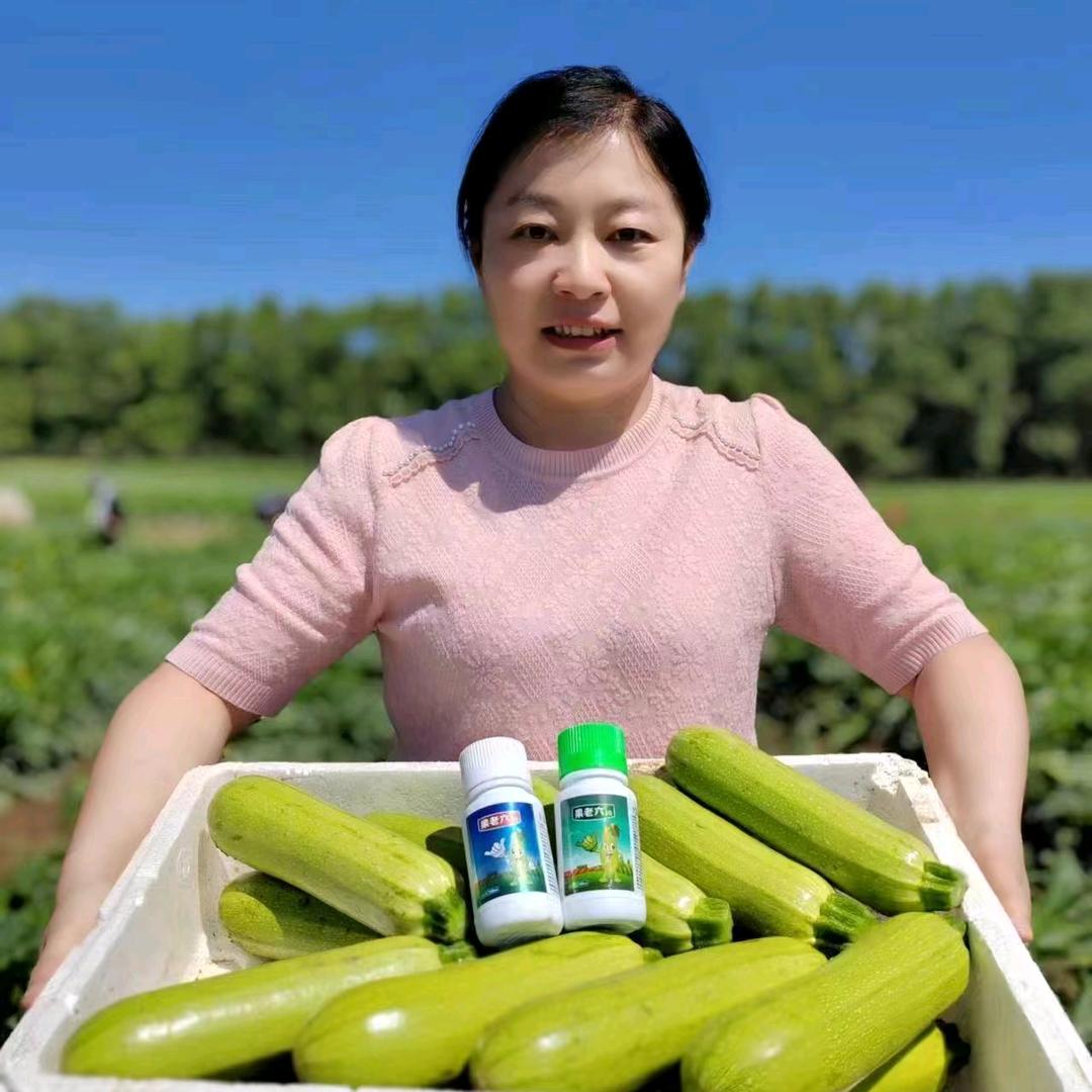 果老六李老师讲西葫芦