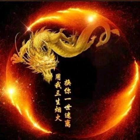 🏅尨の传亽🏆