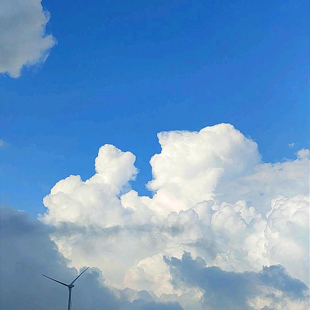 大海（56年属猴）