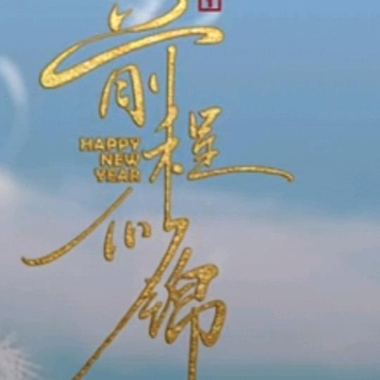 面向太阳全是光