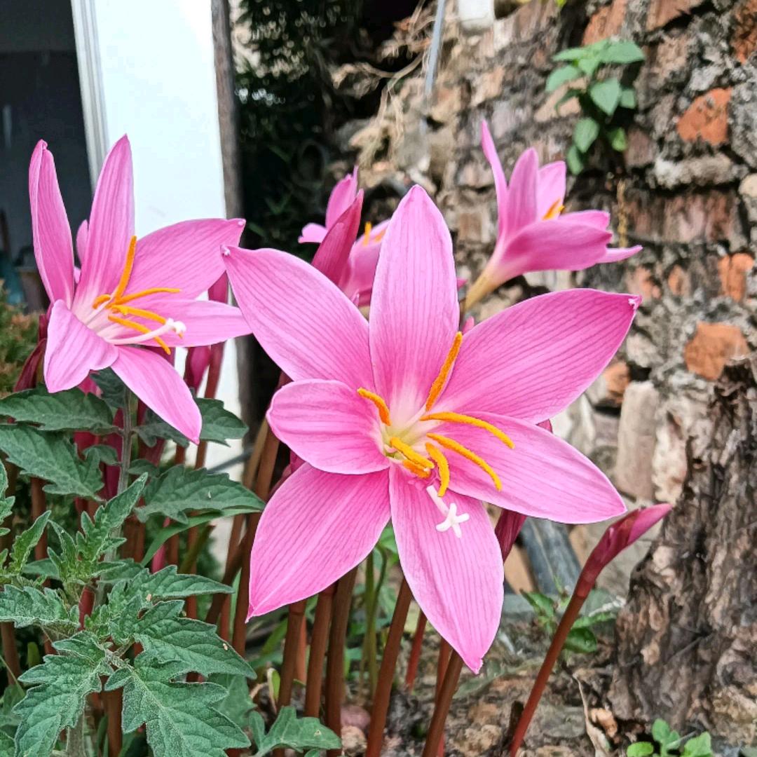 个人都会幸福