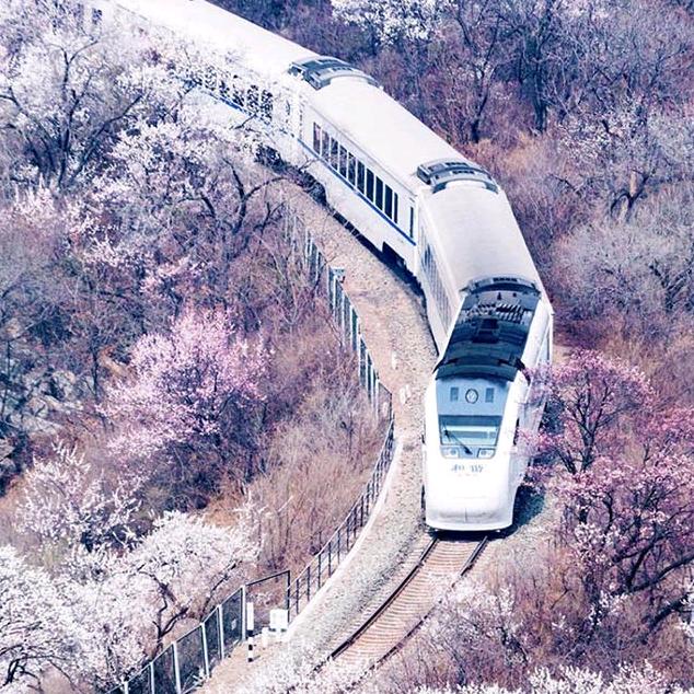 朝花夕拾