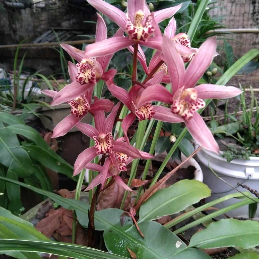 健康是福开心每一天