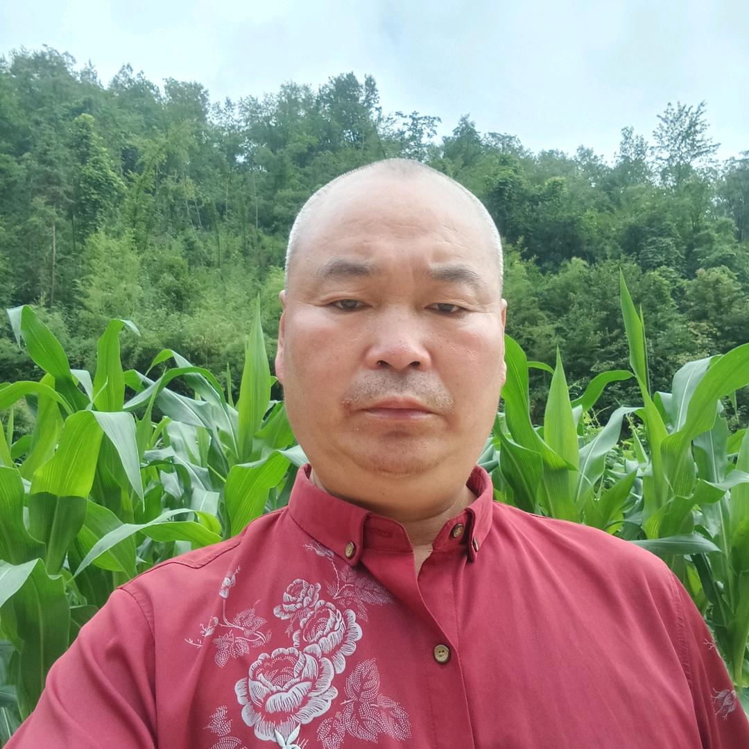 开心哥(上午10：40开播)