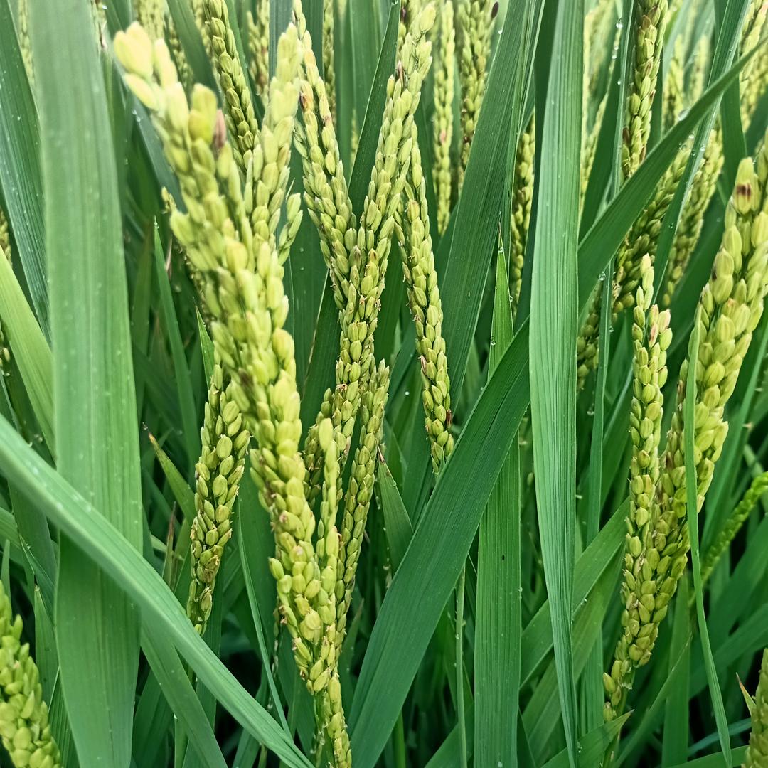 有点缺氧！😁😁