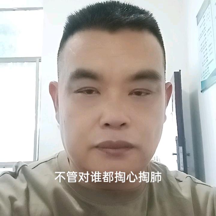 落叶无尘