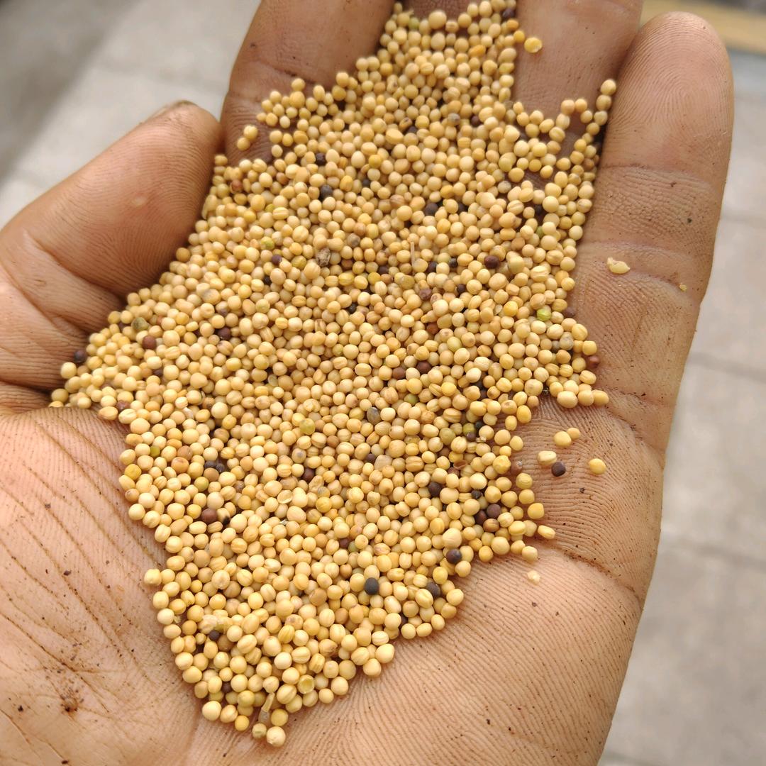 四川：银哥：农副产品