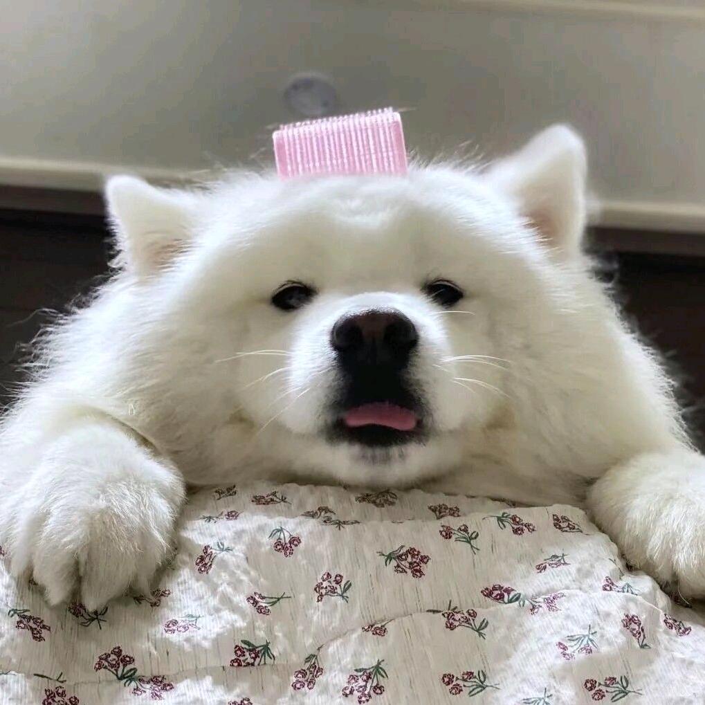 丢 丢