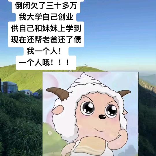 茄茄茄