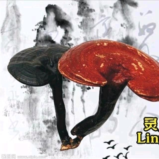 看旌德