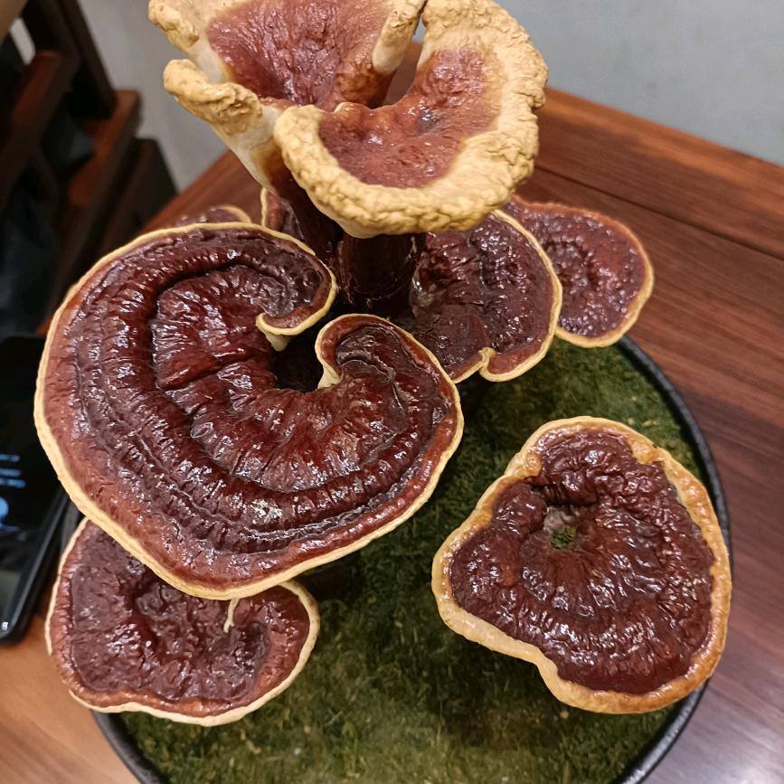 春去秋来