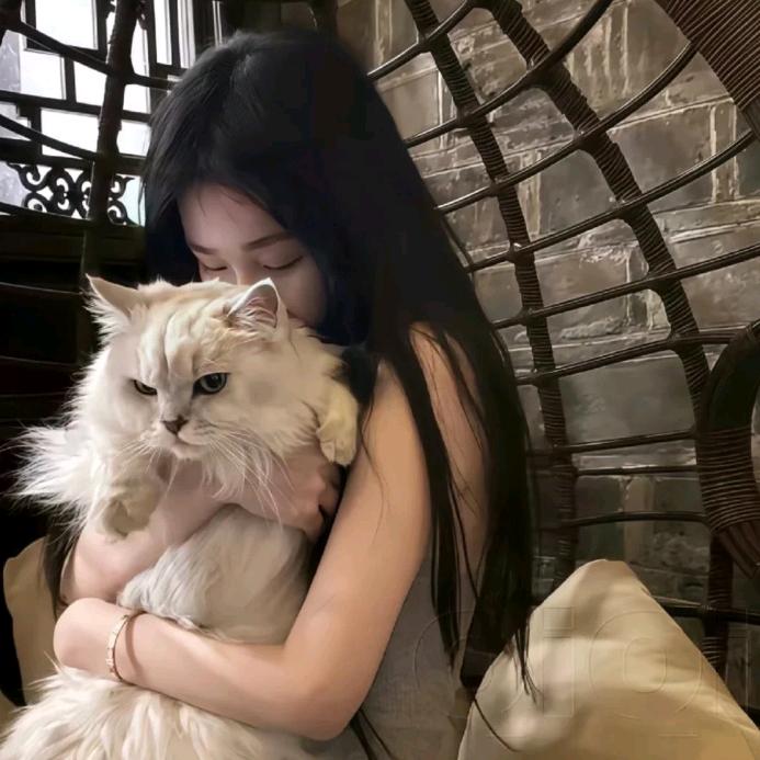 鹿鹿的鹿鹿