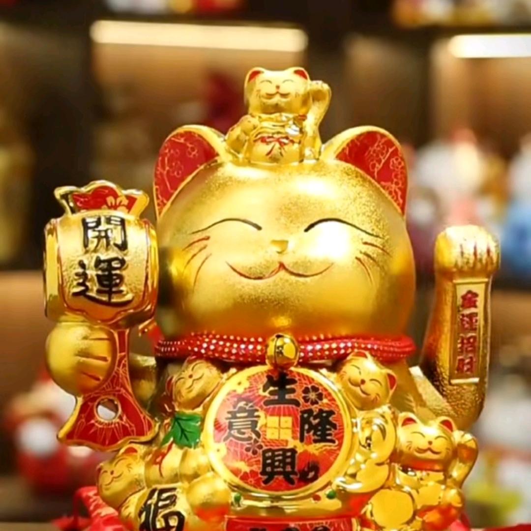 (招财“毛")丽姐