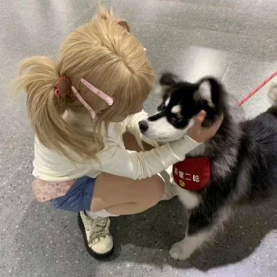 噜噜耶
