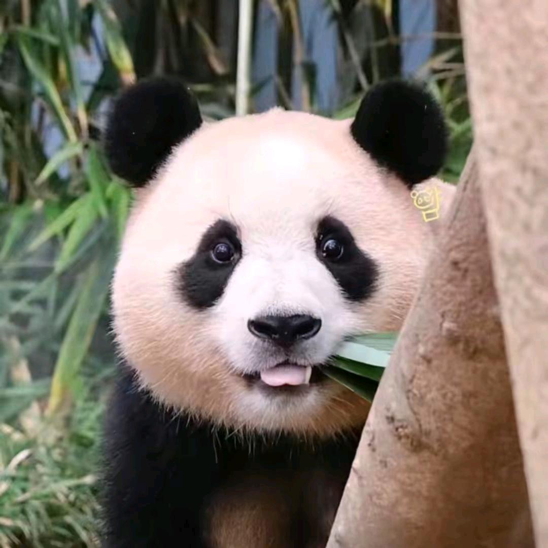 相同相伴爱抖音